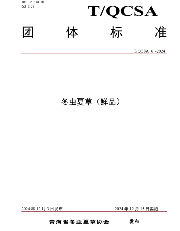 TQCSA 6-2024 冬虫夏草（鲜品）