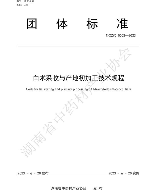 TXZYC 0002-2023 白术采收与产地初加工技术规程