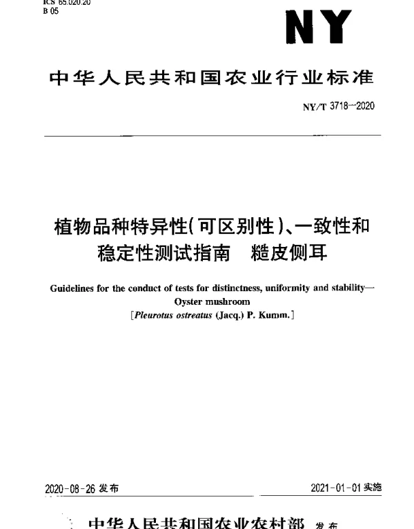 NYT 3718-2020 植物品种特异性（可区别性）、一致性和稳定性测试指南 糙皮侧耳