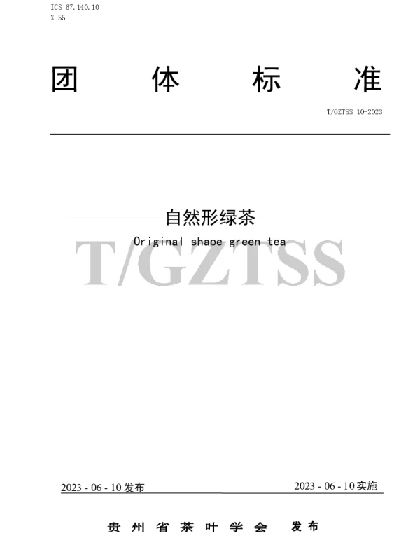 TGZTSS 10-2023 自然形绿茶