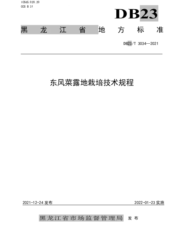 DB23T 3034-2021 东风菜露地栽培技术规程