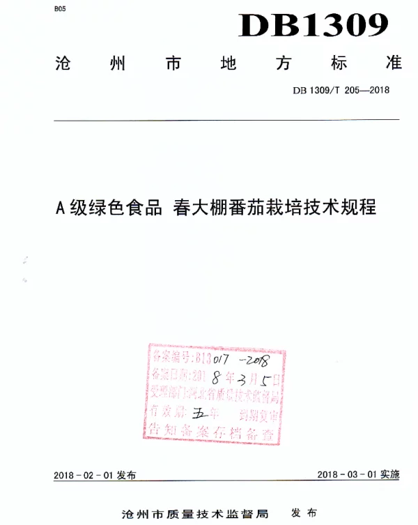 DB1309T 205-2018 A级绿色食品 春大棚番茄栽培技术规程