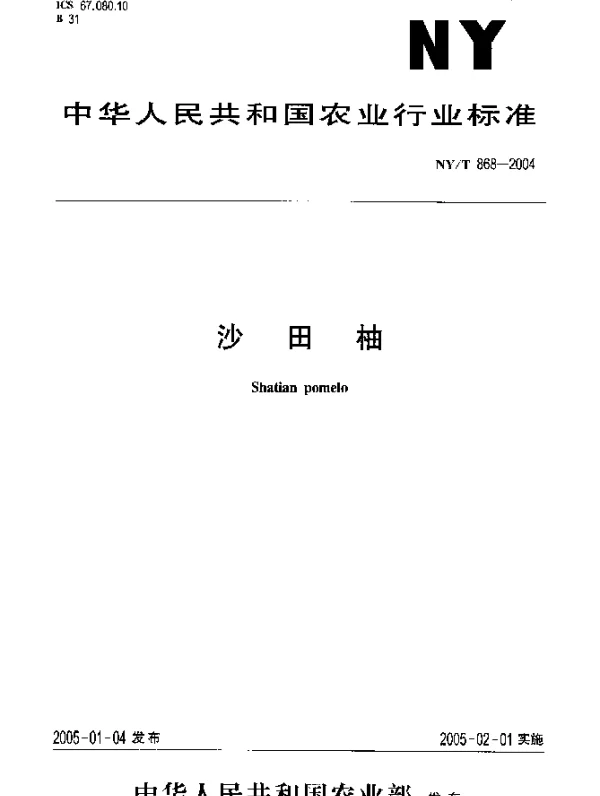 NYT 868-2004 沙田柚