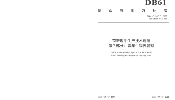 DB61T 367.7-2022 荷斯坦牛生产技术规范  第7部分：青年牛饲养管理