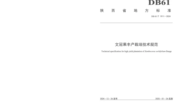 DB61T 1911-2024 文冠果丰产栽培技术规范