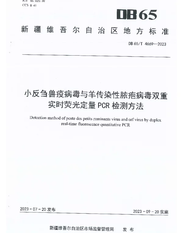 DB65T 4669-2023 小反刍兽疫病毒与羊传染性脓疱病毒双重实时荧光定量PCR检测方法