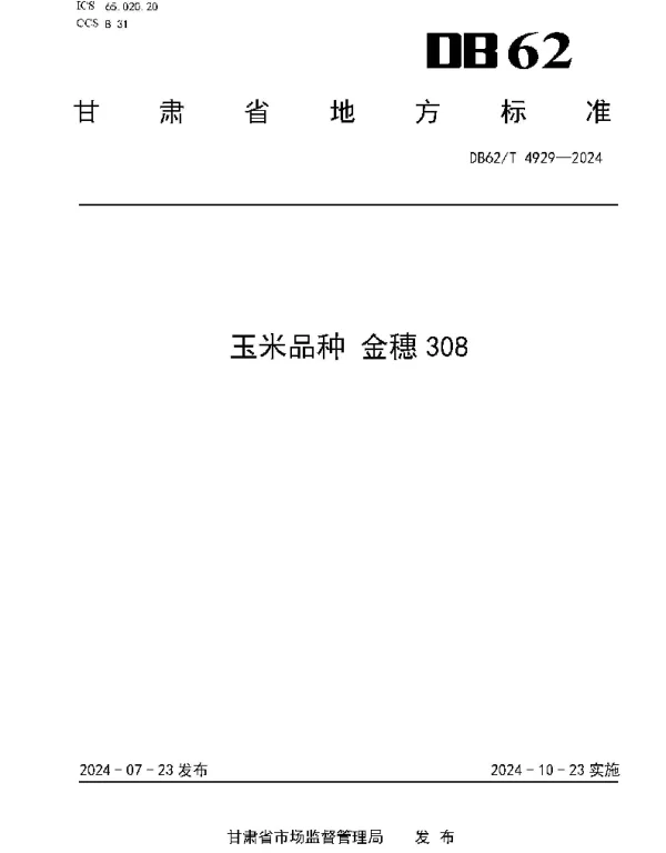 DB62T 4929-2024 玉米品种 金穗308