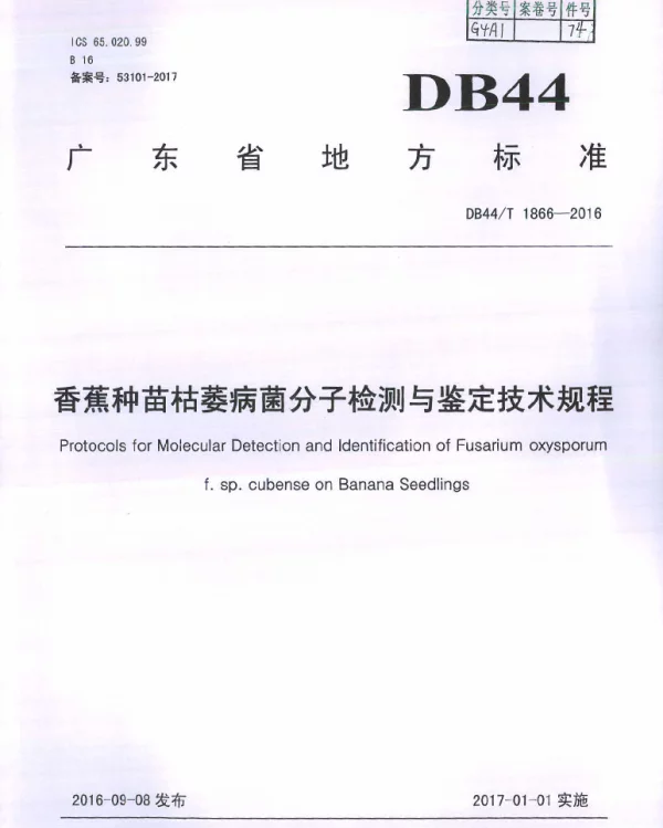 DB44T 1866-2016 香蕉种苗枯萎病菌分子检测与鉴定技术规程