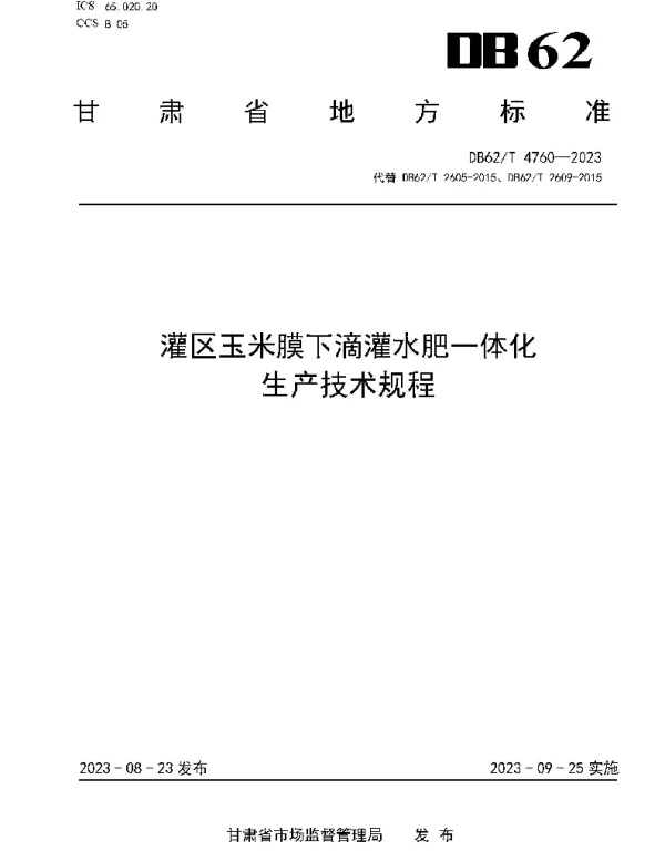 DB62T 4760-2023 灌区玉米膜下滴灌水肥一体化生产技术规程