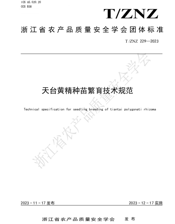 TZNZ 229-2023 天台黄精种苗繁育技术规范