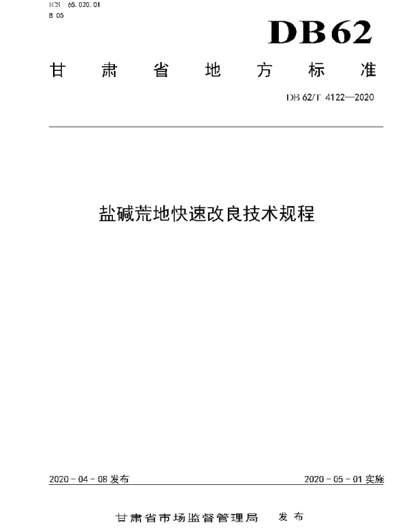 DB62T 4122-2020 盐碱荒地快速改良技术规程