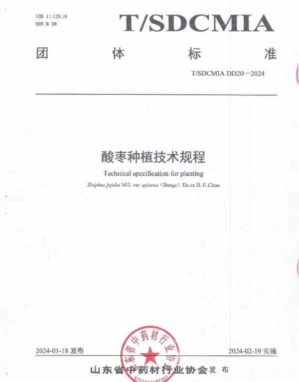 TSDCMIA DD20-2024 酸枣种植技术规程