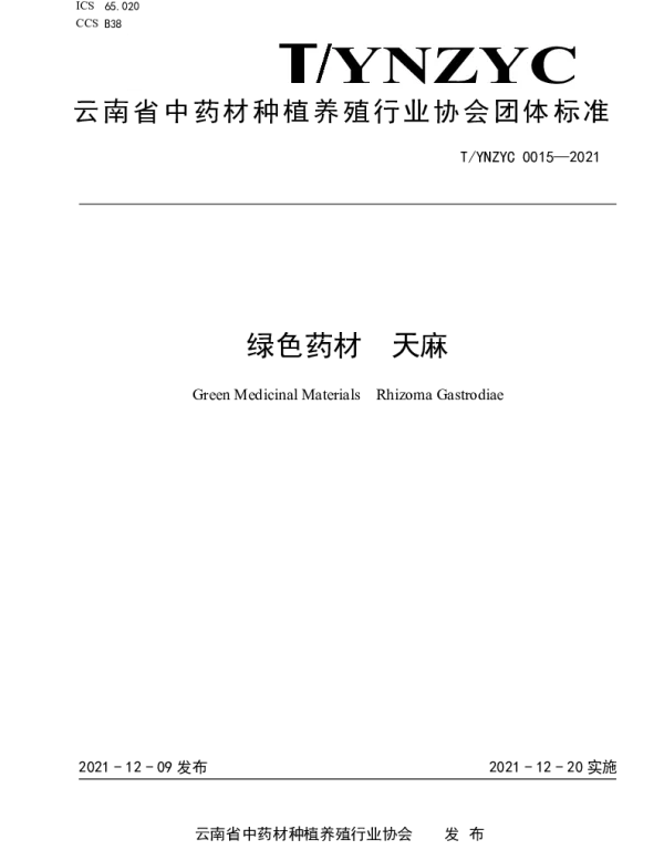 TYNZYC 0015-2021 绿色药材  天麻