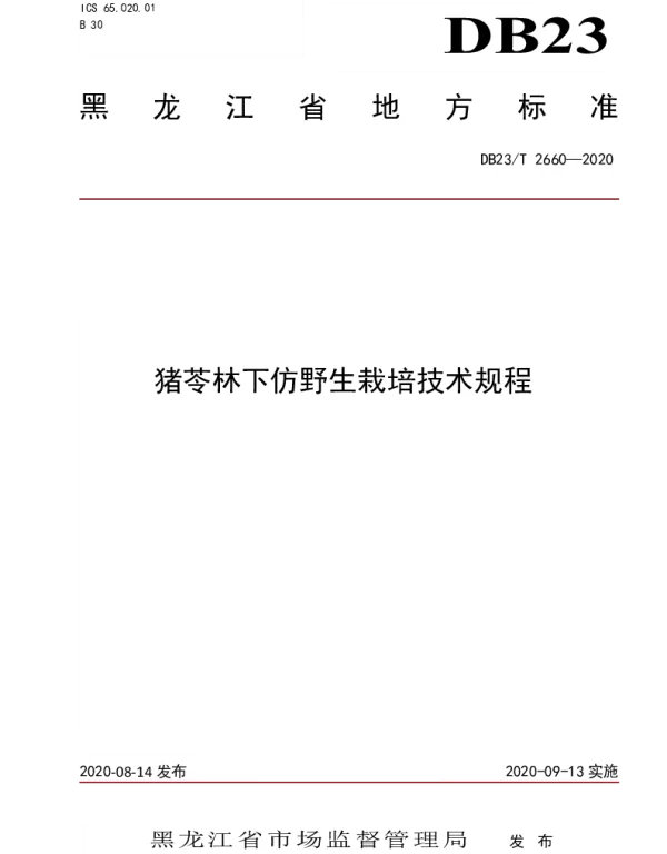 DB23T 2660—2020 猪苓林下仿野生栽培技术规程