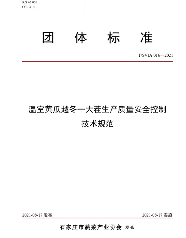 TSVIA 016-2021 温室黄瓜越冬一大茬生产质量安全控制技术规范