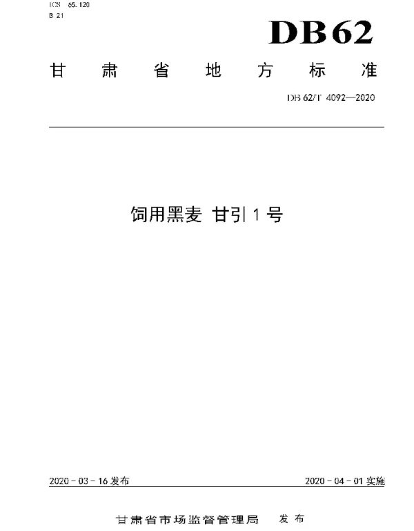 DB62T 4092-2020 饲用黑麦 甘引1 号