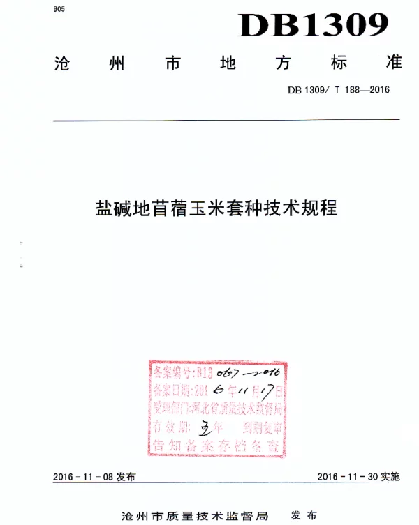 DB1309T 188-2016 盐碱地苜蓿玉米套种技术规程