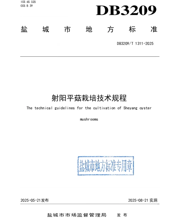DB3209T 1311-2025 射阳平菇栽培技术规程 DB3209T 1311-2025 射阳平菇栽培技术规程