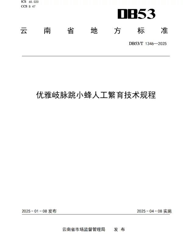 DB53T 1346-2025 优雅岐脉跳小蜂人工繁育技术规程