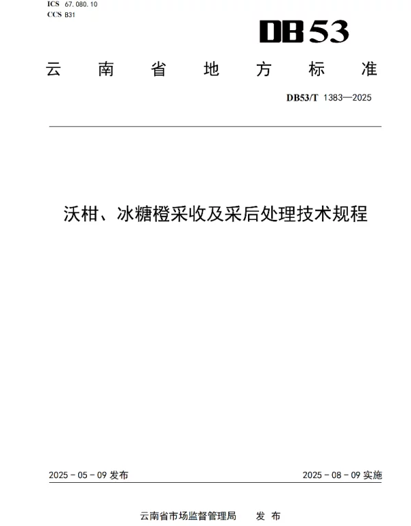 DB53T 1383-2025 沃柑、冰糖橙采收及采后处理技术规程