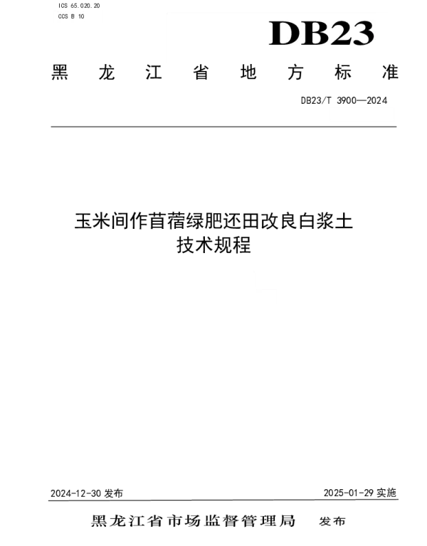 DB23T 3900—2024 玉米间作苜蓿绿肥还田改良白浆土技术规程