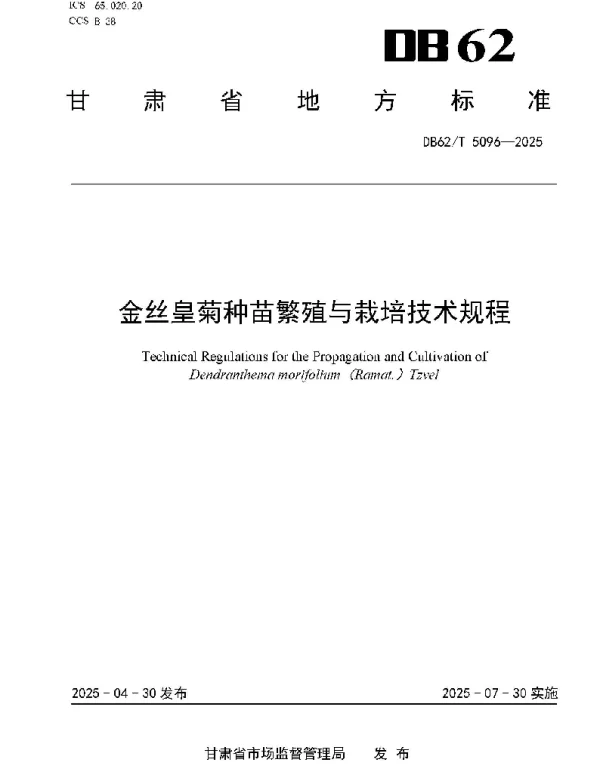 DB62T 5096-2025 金丝皇菊种苗繁殖与栽培技术规程