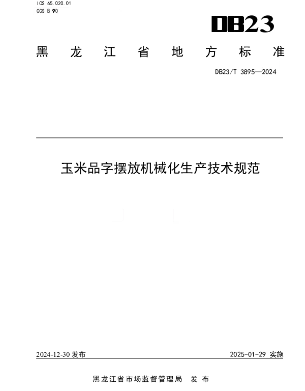 DB23T 3895—2024 玉米品字摆放机械化生产技术规范
