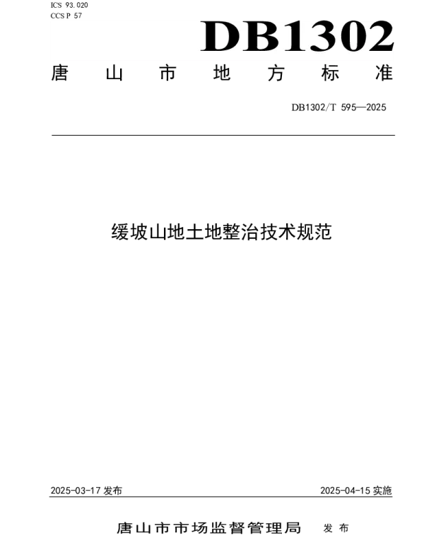 DB1302T 595-2025 缓坡山地土地整治技术规范