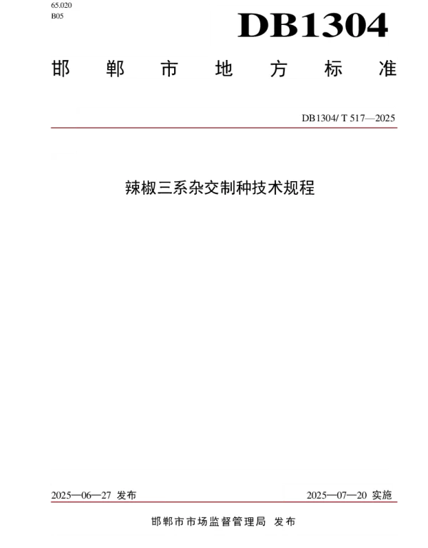 DB1304T 517-2025 冀南辣椒杂交制种技术规程