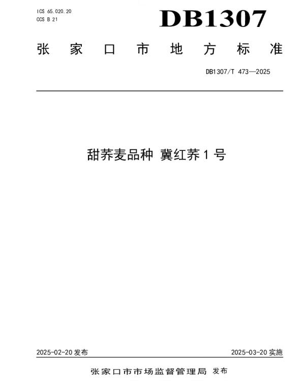 DB1307T473-2025 甜荞麦品种  冀红荞1号