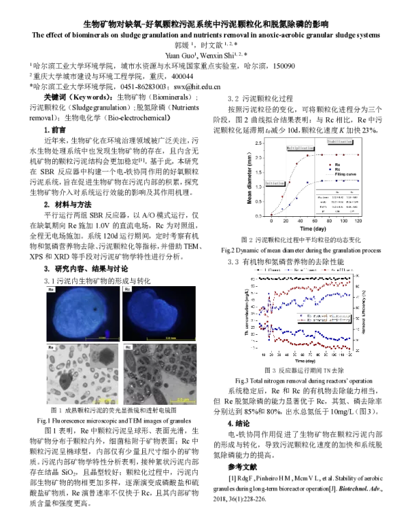 生物矿物对缺氧好氧颗粒污泥系统中污泥颗粒化和脱氮除磷的影响