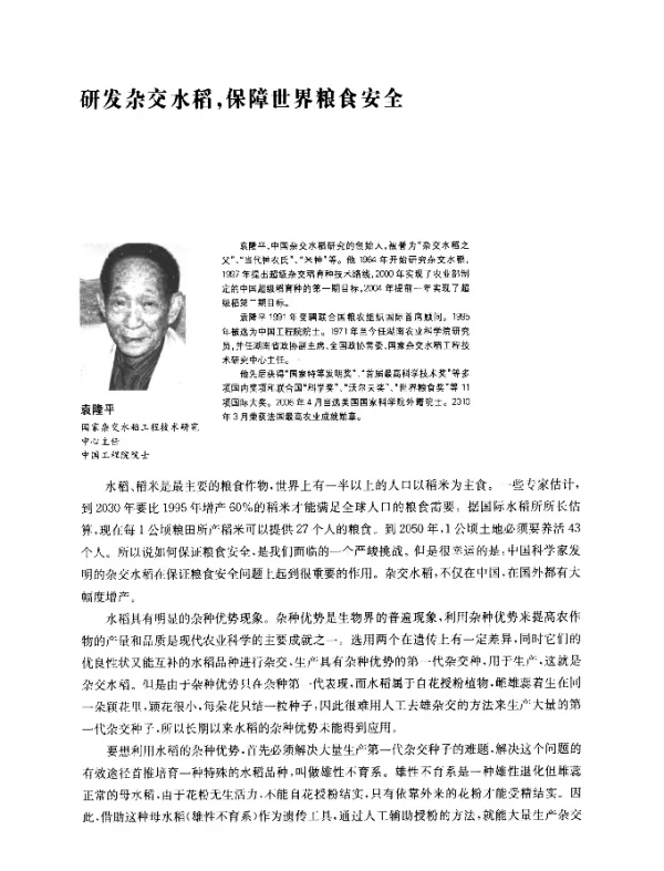 研发杂交水稻保障世界粮食安全