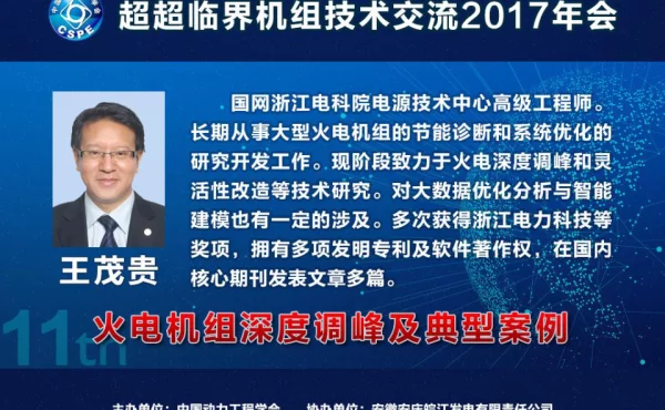 火电机组深度调峰及典型案例介绍