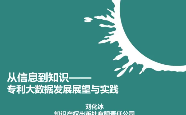 从信息到知识--专利大数据发展展望与实践