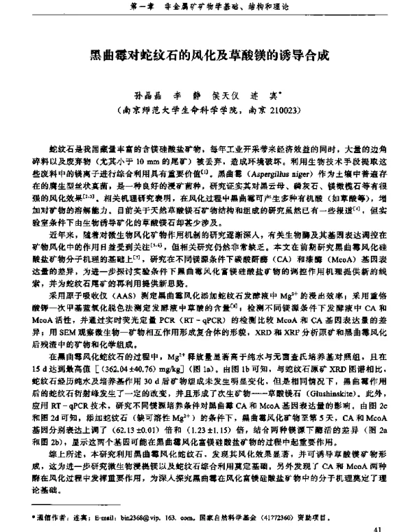 黑曲霉对蛇纹石的风化及草酸镁的诱导合成