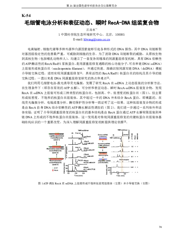 毛细管电泳分析和表征动态、瞬时RecA-DNA组装复合物