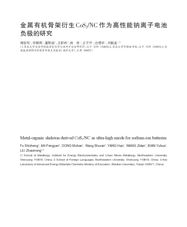 金属有机骨架衍生CoS2NC作为高性能钠离子电池负极的研究