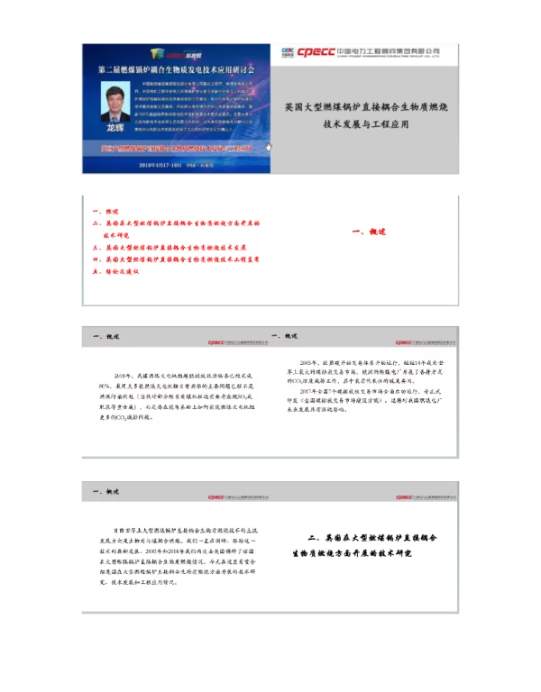 英国大型燃煤锅炉直接耦合生物质燃烧技术发展与工程应用