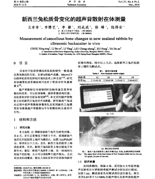 新西兰兔松质骨变化的超声背散射在体测量