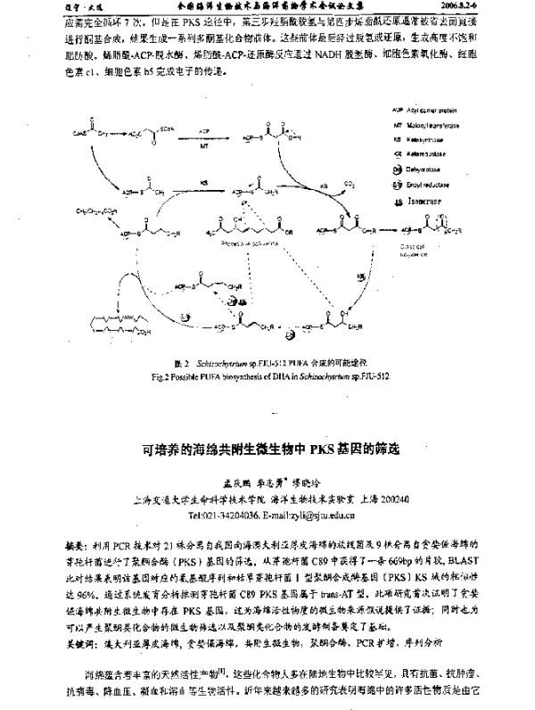 可培养的海绵共附生微生物中PKS基因的筛选