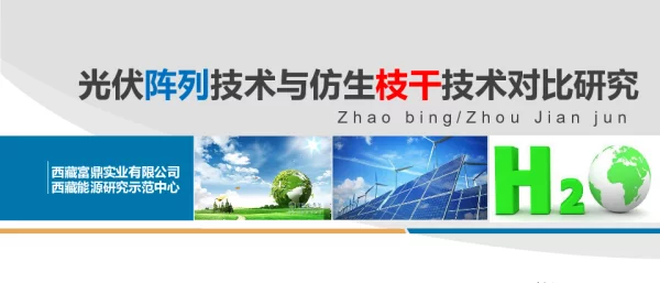 光伏阵列技术与仿生枝干技术对比研究