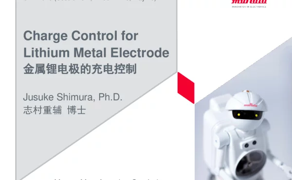 金属锂电极的充电控制