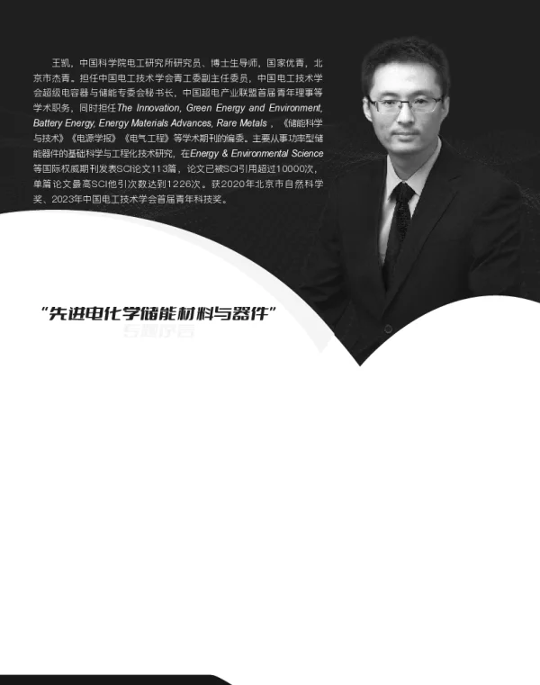 先进电化学储能材料与器件专题序言