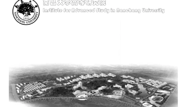 基于滑移内结构的宏观唯象规范流动理论实验和计算进展