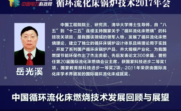 中国循环流化床燃烧技术发展回顾与展望