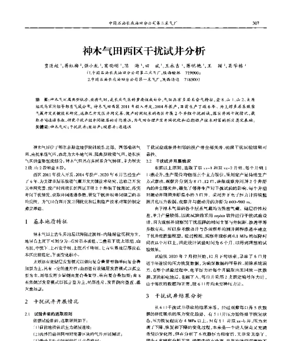 神木气田西区干扰试井分析