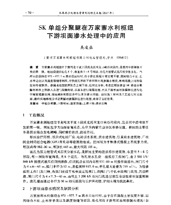 SK单组分聚脲在万家寨水利枢纽下游坝面渗水处理中的应用