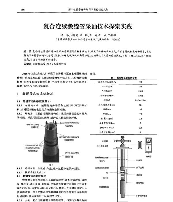 复合连续敷缆管采油技术探索实践