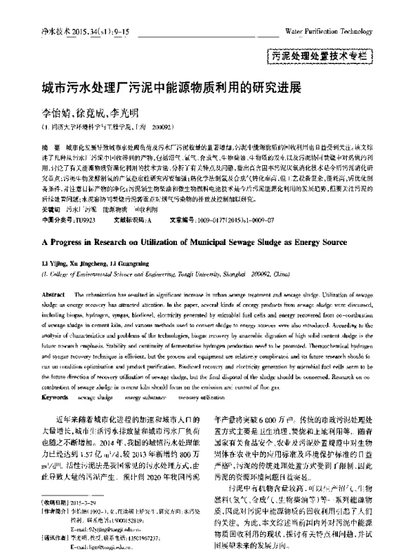 城市污水处理厂污泥中能源物质利用的研究进展