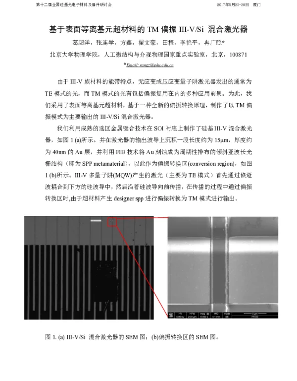 基于表面等离基元超材料的TM偏振Ⅲ-ⅤSi混合激光器